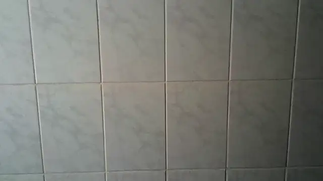 XxLatinaBabexX webcam