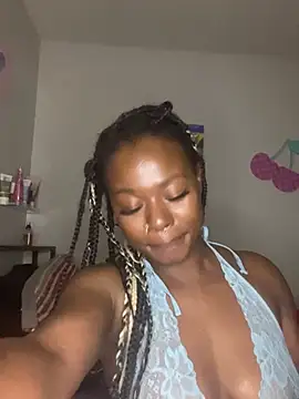 TinyBlazian901 webcam