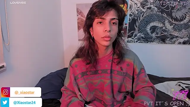 XiaoStar