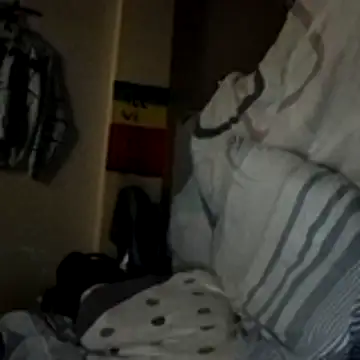 Ortiz3404 webcam