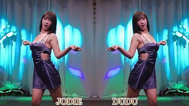 yznt-dudu webcam