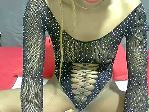portiax webcam