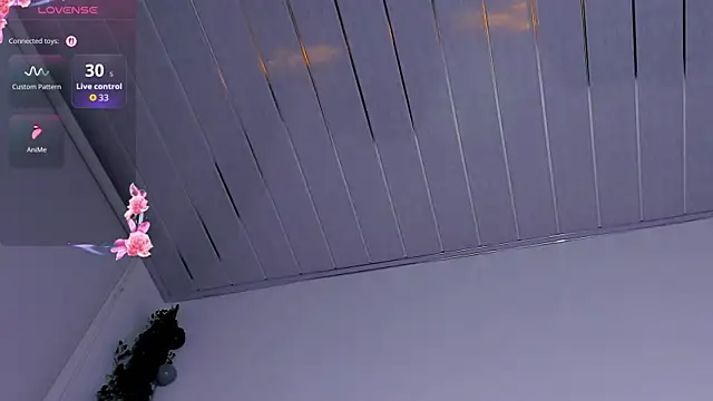 Noaah25_ webcam