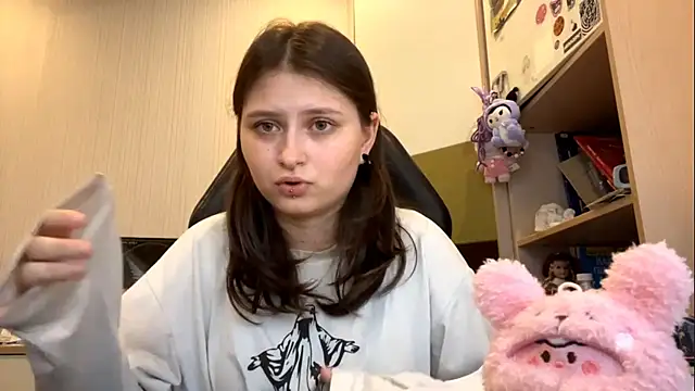 MnemonicSimplism webcam