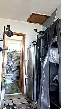hawksws webcam