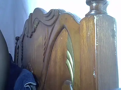 tashlin webcam