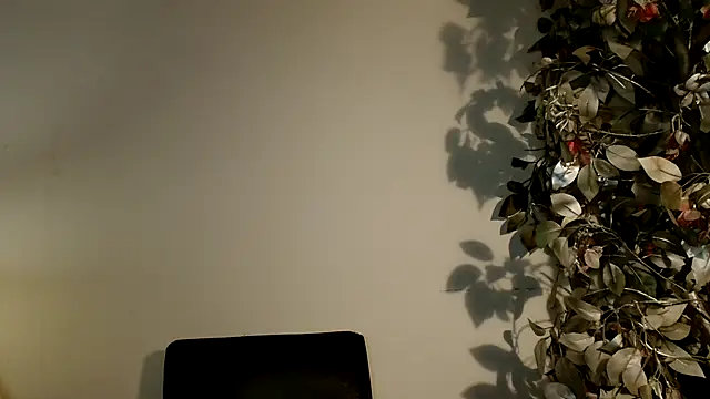 3littles Live Web Cam Show