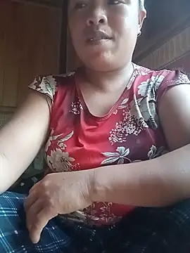Ip34 webcam