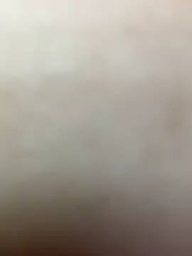 mimi_wife webcam