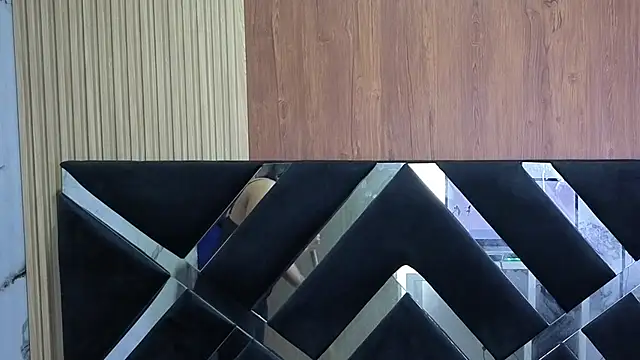 valerytp webcam