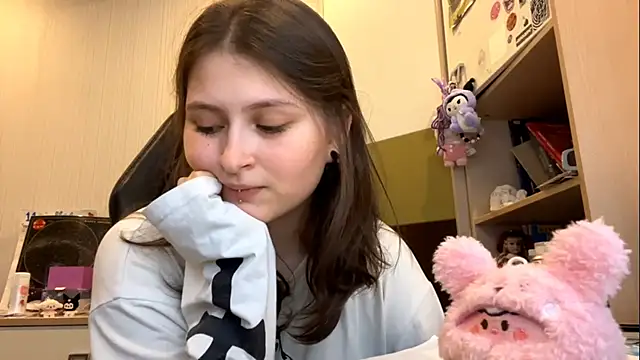 MnemonicSimplism webcam