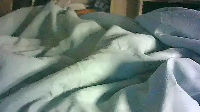CR3M3_FIR3 webcam