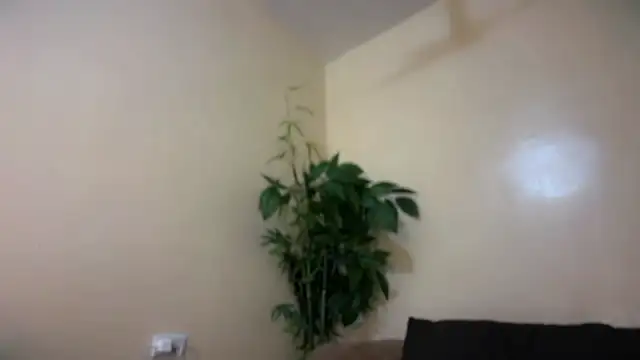 UrIdealGirl_Jade webcam