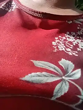 Ip34 webcam