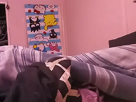 Blkstylion webcam