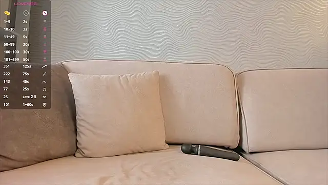 SageFrommer webcam