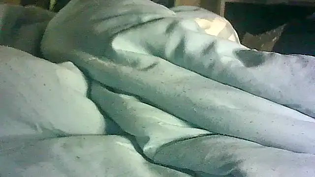 CR3M3_FIR3 webcam
