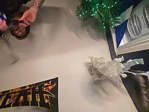DIGITALDILLY webcam