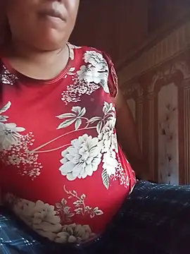 Ip34 webcam