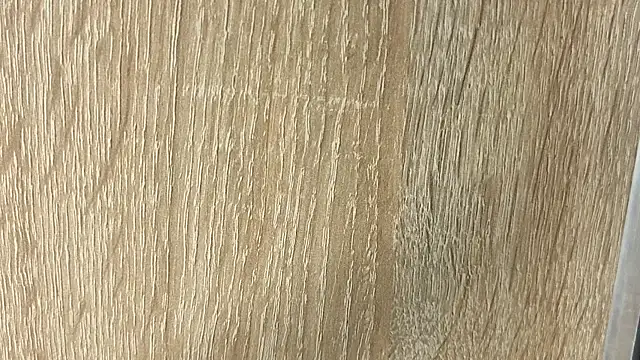 NoFace_Model webcam