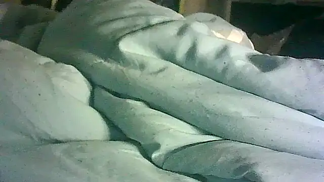 CR3M3_FIR3 webcam