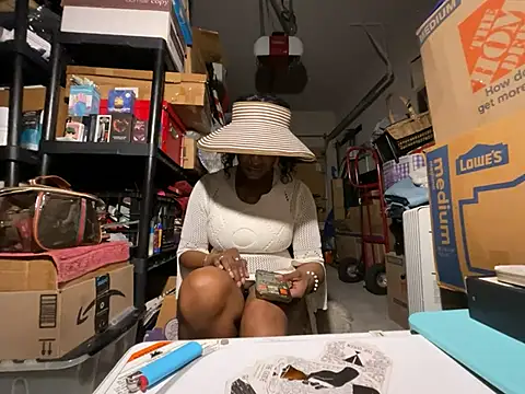 wynterheat webcam