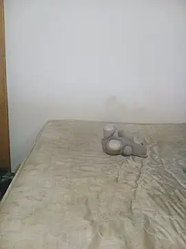 PUKIOI webcam