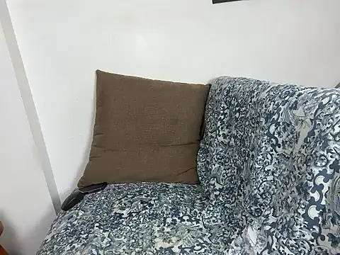 velvetvista webcam