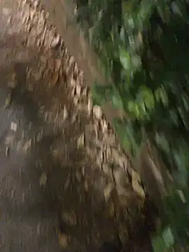 Juanhotmxpro webcam