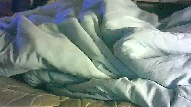 CR3M3_FIR3 webcam