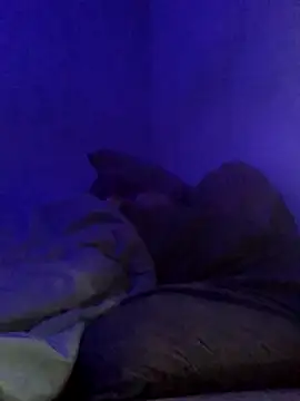 david799179 webcam