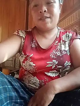 Ip34 webcam