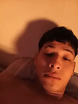 Jl20188 webcam