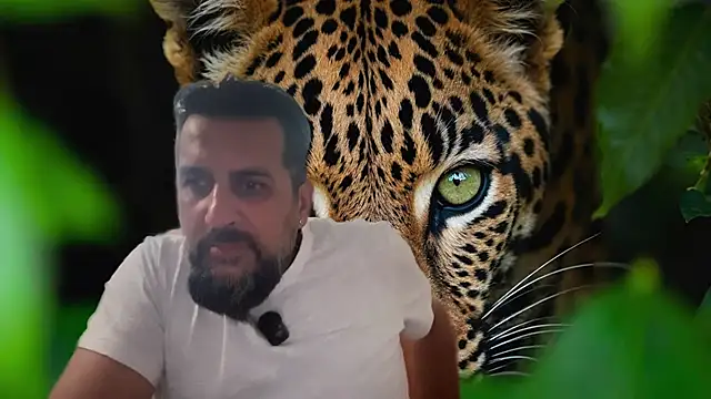 TARKAN1 webcam