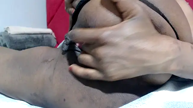 Bracylia webcam