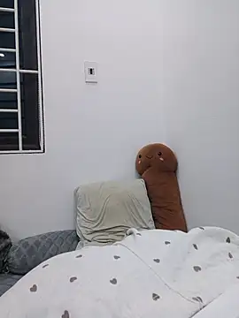 Katanh webcam