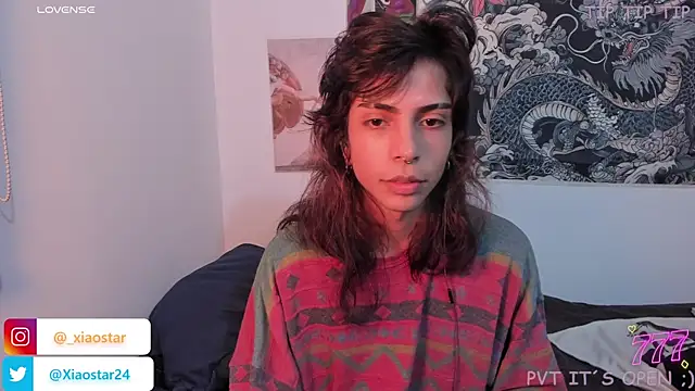 XiaoStar webcam