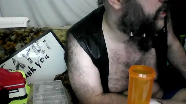 BriTheTopBear webcam