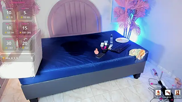Nalapalmer webcam