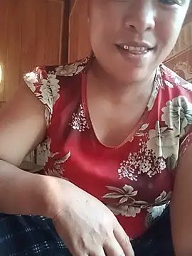 Ip34 webcam