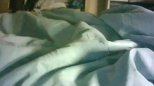 CR3M3_FIR3 webcam