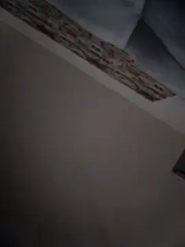 pillepallex84x webcam