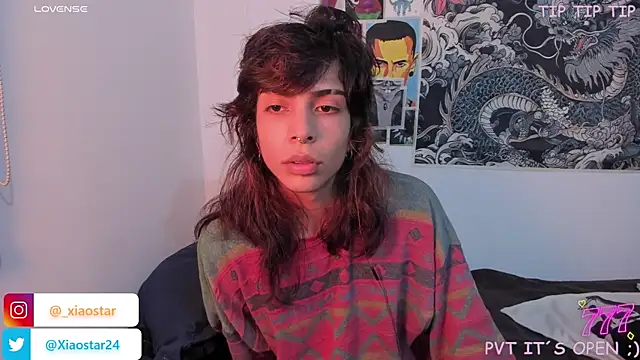 XiaoStar webcam