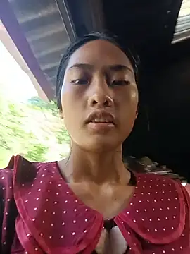 Hoa-tuylip webcam