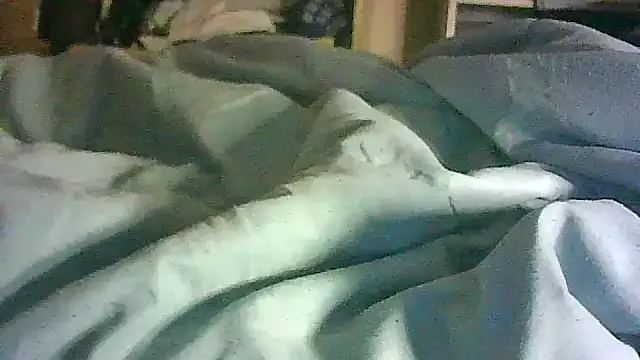 CR3M3_FIR3 webcam