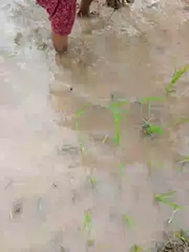 YOURBHABI143 webcam