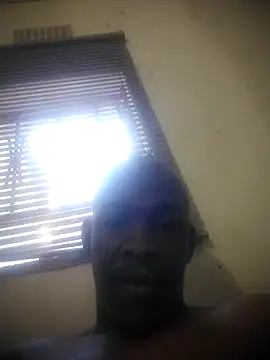 zuludog webcam