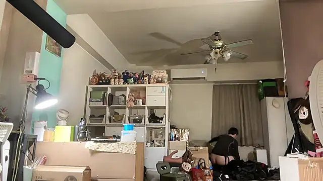 RC-Nox webcam
