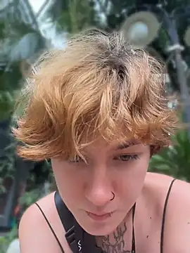 IceMur webcam