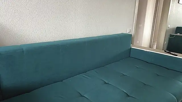 Ellewaay webcam